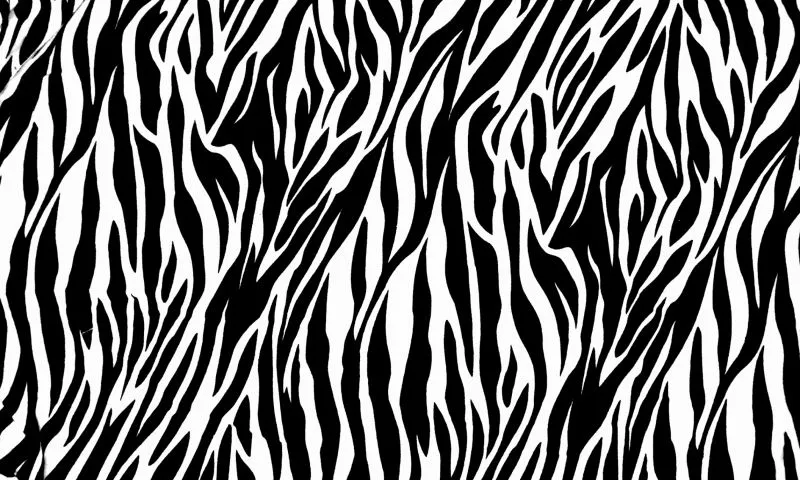Zebra-Print-800x480.jpg