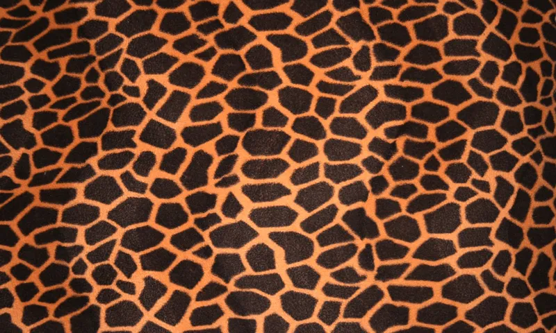 Zebra Print Wallpapers - Aplicaciones Android en Google Play Zebra Print Wallpapers - Aplicaciones Android en Google Play