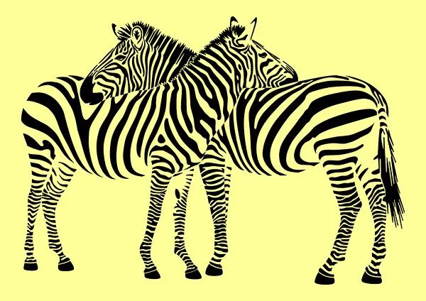 Zebra vector material Free Vector / 4Vector