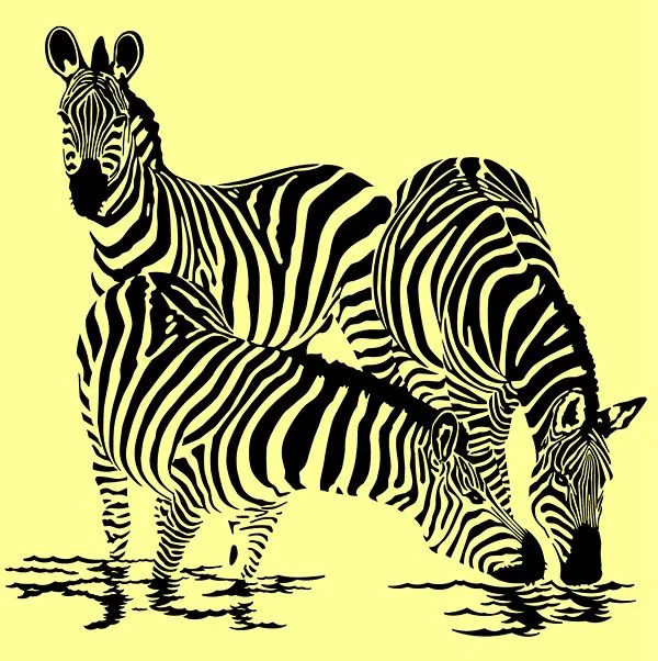 Zebra vector material Free Vector / 4Vector