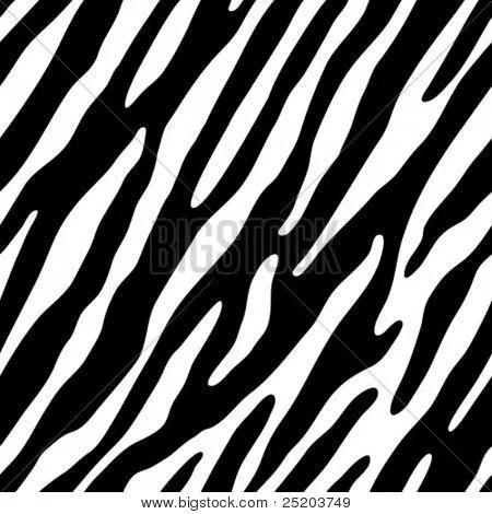 Zebra vectores, fotos e ilustraciones en stock | Bigstock
