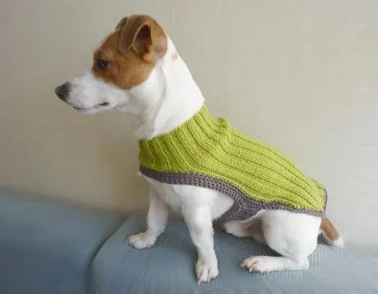 ZONA DE MANUALIDADES: Como hacer ropa para perros a crochet/tricot ZONA DE MANUALIDADES: Como hacer ropa para perros a crochet/tricot