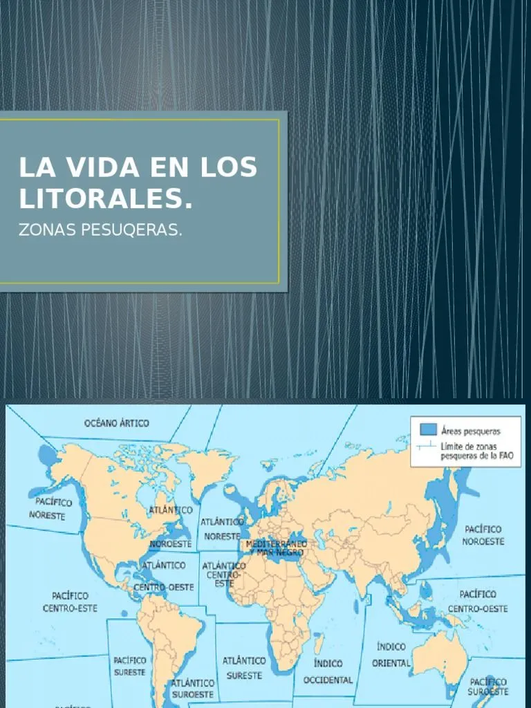 Las Zonas Pesqueras . | PDF | Pesca comercial | Mar Las Zonas Pesqueras . | PDF | Pesca comercial | Mar