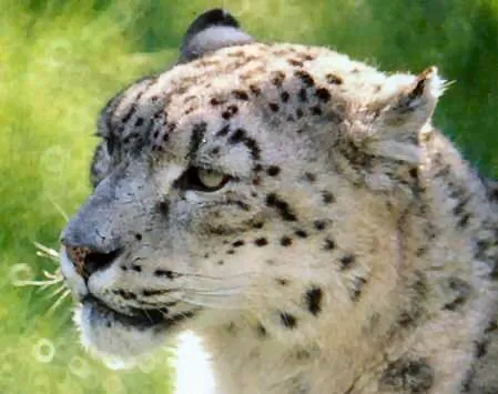 Zoo de Barcelona: El Acitivity Perfecto para una escapada en ... Zoo de Barcelona: El Acitivity Perfecto para una escapada en ...