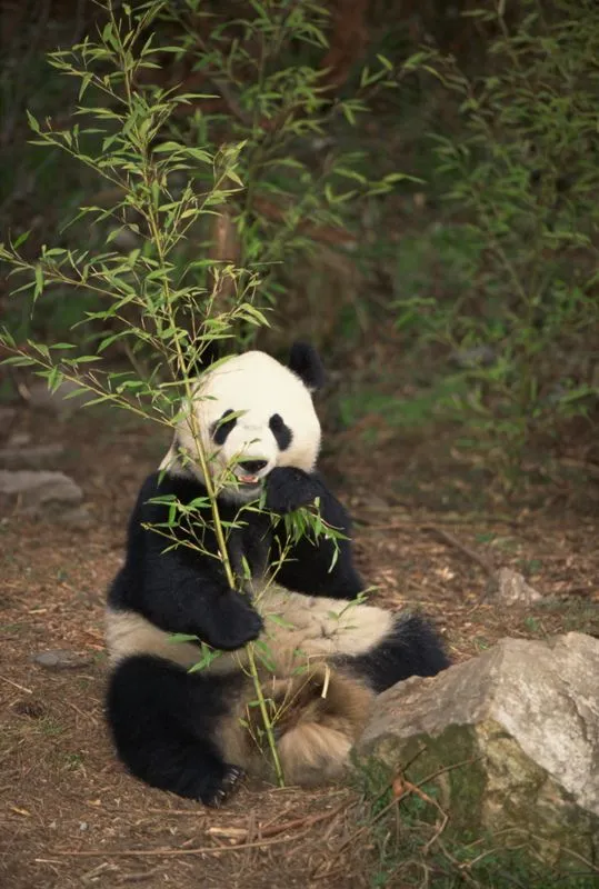 El zoo de tercero: septiembre 2011