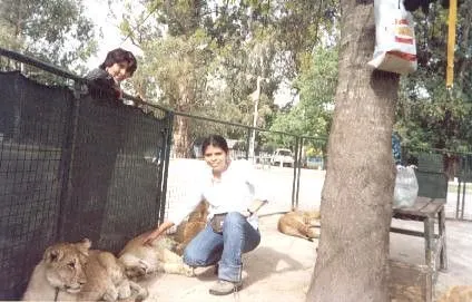 Zoologico de Lujan, con los leones bebes | Flickr - Photo Sharing! Zoologico de Lujan, con los leones bebes | Flickr - Photo Sharing!