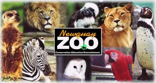 El Zoológico Newquay en Cornwall