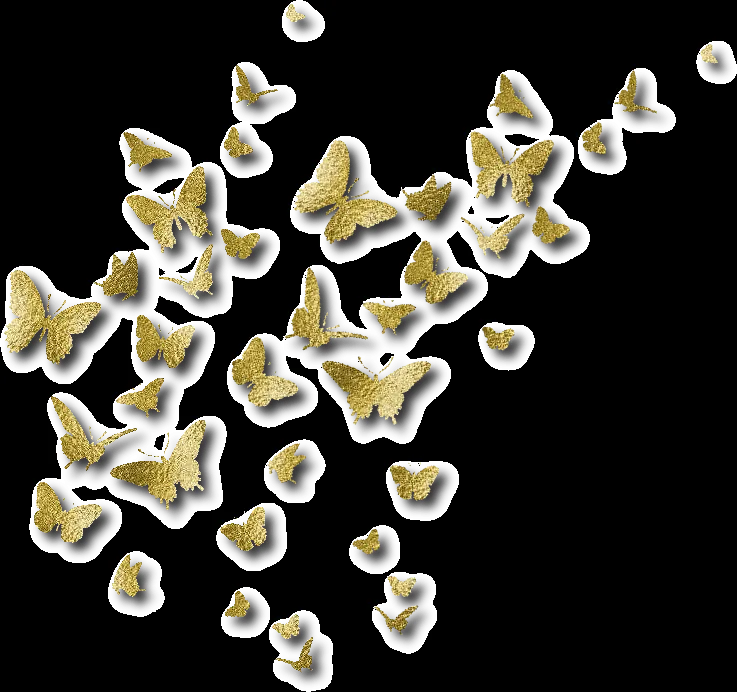 ZOOM DISEÑO Y FOTOGRAFIA: 10 mariposas doradas, decoradas con ... ZOOM DISEÑO Y FOTOGRAFIA: 10 mariposas doradas, decoradas con ...