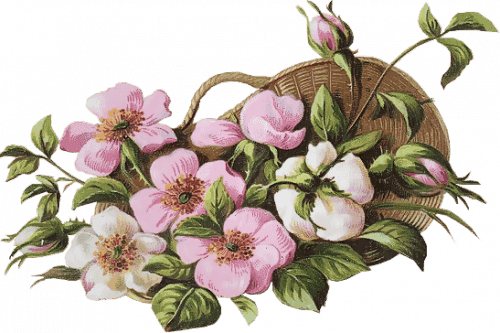 ZOOM DISEÑO Y FOTOGRAFIA: 31 flores vintage, para scrap, flowers ZOOM DISEÑO Y FOTOGRAFIA: 31 flores vintage, para scrap, flowers
