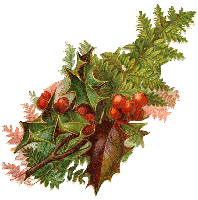 ZOOM DISEÑO Y FOTOGRAFIA: adornos navidad vintage,christmas ,png ZOOM DISEÑO Y FOTOGRAFIA: adornos navidad vintage,christmas ,png