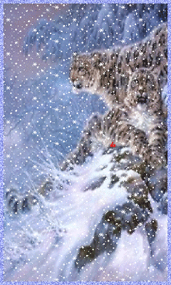 ZOOM DISEÑO Y FOTOGRAFIA: animales gif con movimiento,imagenes ... ZOOM DISEÑO Y FOTOGRAFIA: animales gif con movimiento,imagenes ...