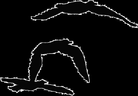 Gif pajaros volando - Imagui