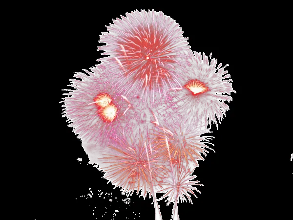 ZOOM DISEÑO Y FOTOGRAFIA: imagenes fuegos artificiales para año ...