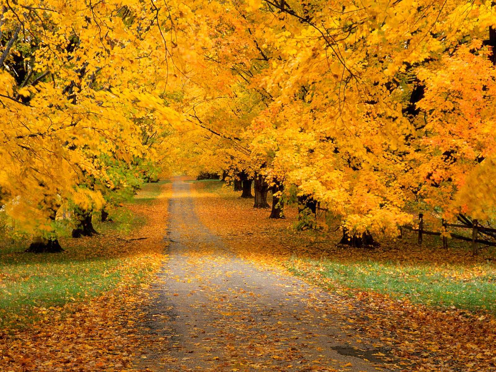 ZOOM DISEÑO Y FOTOGRAFIA: imagenes de otoño,wallpapers hd,fondos ... ZOOM DISEÑO Y FOTOGRAFIA: imagenes de otoño,wallpapers hd,fondos ...