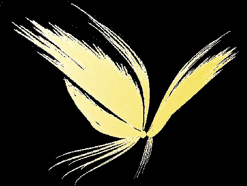 ZOOM DISEÑO Y FOTOGRAFIA: mariposas, alas para hacer angeles, png ZOOM DISEÑO Y FOTOGRAFIA: mariposas, alas para hacer angeles, png