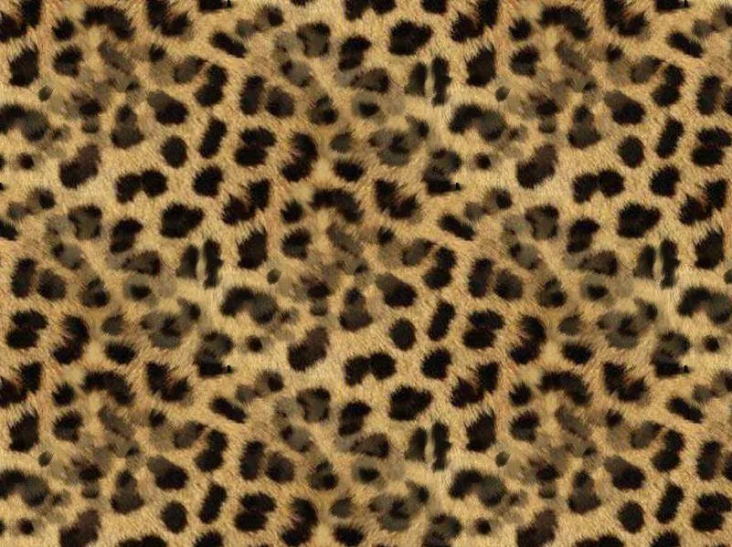 ZOOM DISEÑO Y FOTOGRAFIA: texturas animal print,fondos para ... ZOOM DISEÑO Y FOTOGRAFIA: texturas animal print,fondos para ...