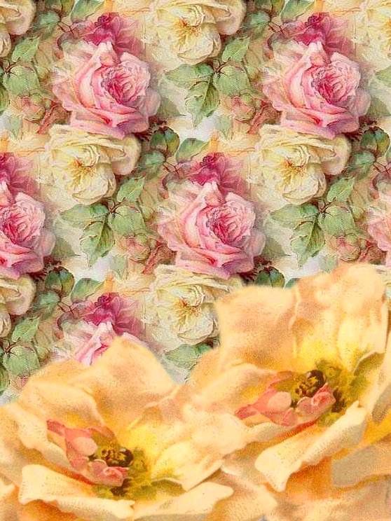 ZOOM FRASES: 30 fondos con flores para compartir en primavera ZOOM FRASES: 30 fondos con flores para compartir en primavera