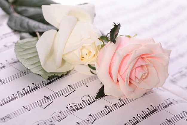 ZOOM FRASES: flores para compartir,regalos a amigos,facebook ZOOM FRASES: flores para compartir,regalos a amigos,facebook
