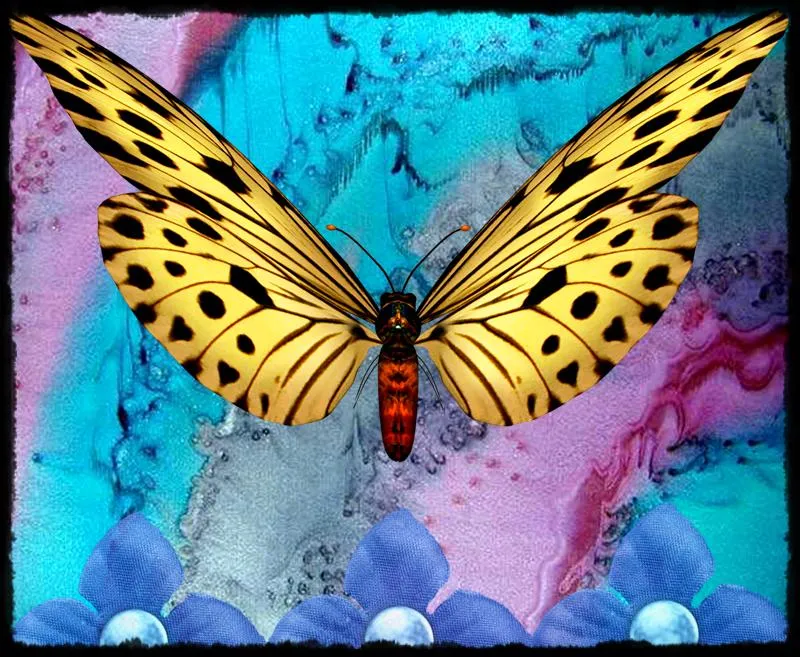 ZOOM FRASES: nuevos fondos e imagenes con mariposas para compartir ZOOM FRASES: nuevos fondos e imagenes con mariposas para compartir