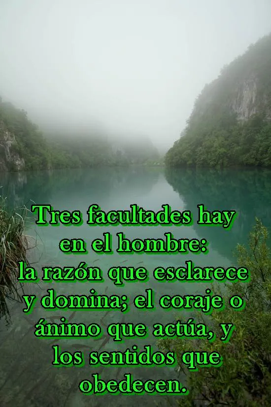 ZOOM FRASES: frases para levantar el animo, aliento y esperanzas ZOOM FRASES: frases para levantar el animo, aliento y esperanzas