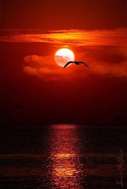 ZOOM FRASES: imagenes de atardeceres para compartir desde tu móvil ...