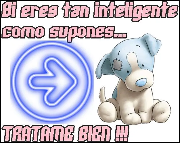 ZOOM FRASES: maltrato animal