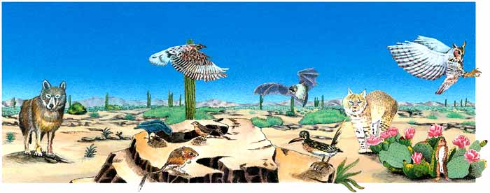 ZooR05: November 2005