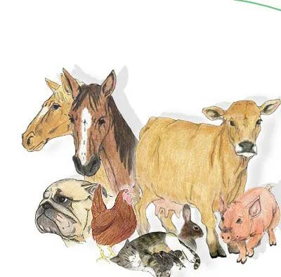 Dibujo de veterinaria - Imagui