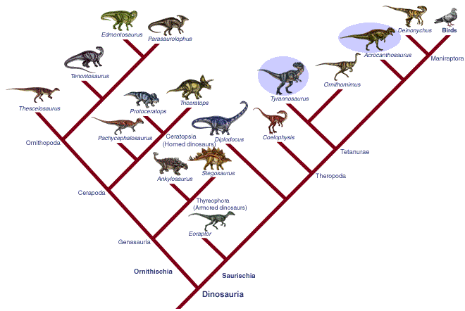 Zoowiki