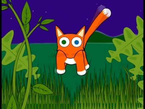 El Zorro Curioso - YouTube