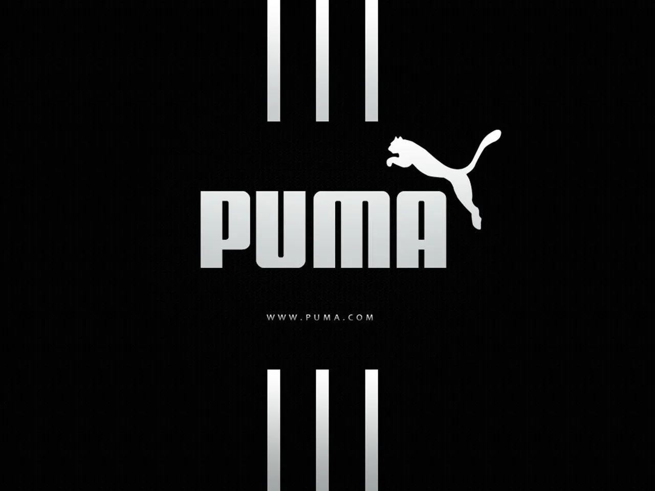 zul'blogspot: Sejarah puma