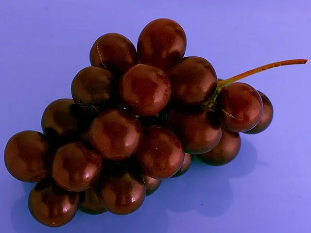 uvas.jpg