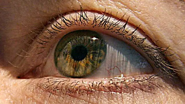 Cómo saber si eres zurdo o diestro... de ojo - ABC.es Cómo saber si eres zurdo o diestro... de ojo - ABC.es
