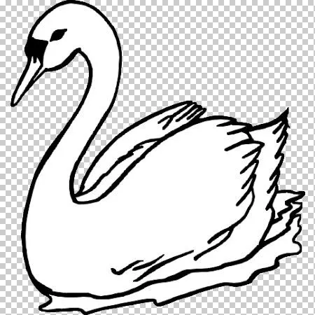 zwaan-102.jpg?imgmax=640